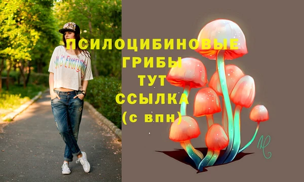 экстази Медногорск