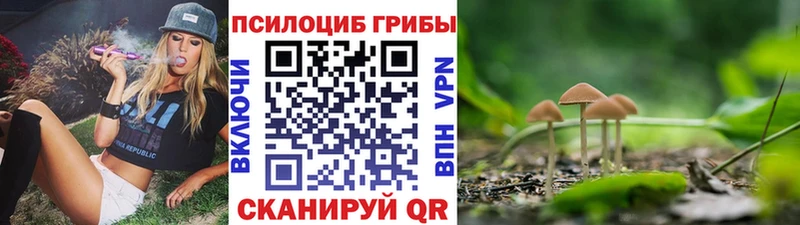 Купить где  Коряжма  Галлюциногенные грибы MAGIC MUSHROOMS 